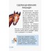Мини-энциклопедии - Всё о лошадях