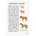 Мини-энциклопедии - Всё о лошадях