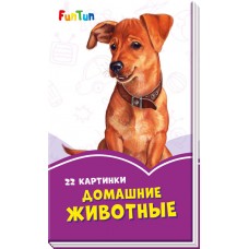 Сиреневые книжки (F) - Домашние животные