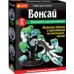 Научные мини-игры - Японский сад кристаллов. Бонсай