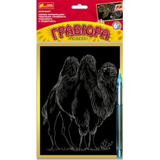 Гравюры - Верблюд - Гравюры Золото
